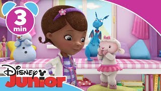 Doktor McStuffins  Den stora leksaksleveransen  Disney Junior Sverige [upl. by Salazar378]