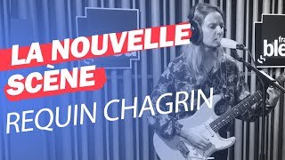 Le Live de Requin Chagrin  La Nouvelle Scène  France Bleu [upl. by Eneli]