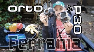 Ferrania P30 amp Orto 50 A Comparison of Two Films [upl. by Rives]