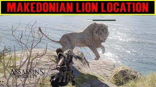 Legacy of the First Blade DLC Makedonian Lion Location  Lone Lion Trophy Guide Makedonian Lion [upl. by Octavian]