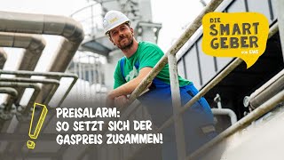 Wie setzt sich der Gaspreis eigentlich zusammen SMARTGEBER Paul klärt auf [upl. by Zeus813]