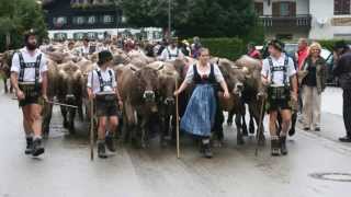 Uff d Alpa doma II  Jodellied  Allgäu  Volksmusik [upl. by Dillon]