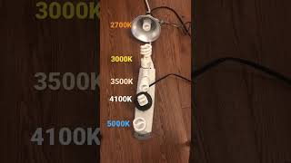 5000K Vs 4100K Vs 3500K Vs 3000K Vs 2700K CFL Comparison shorts cfl colortemperature [upl. by Favianus103]