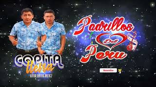 Padrillos del Perú  Copita llena Audio Primicia 2022 [upl. by Sybyl901]