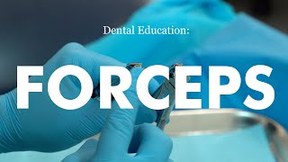 Demonstration of forceps technique for dental extraction [upl. by Ariem366]