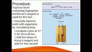 Indole TestExplained in urdu [upl. by Sirtemed]