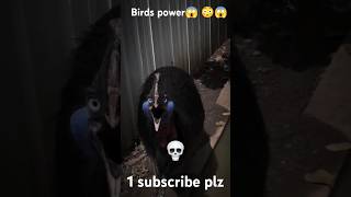 Birds power😱 😳😱 1 subscribe plz trend [upl. by Dougal276]