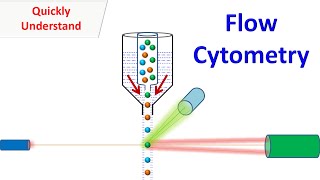 Flow Cytometry [upl. by Mcdade]