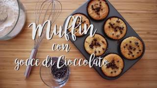 MUFFIN CON GOCCE DI CIOCCOLATO  Ottima idea per la colazione o la merenda [upl. by Assirialc115]