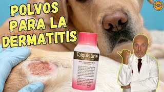 💝 POLVOS DE TALQUISTINA PARA PERROS CON DERMATITIS ATOPICA 💝 [upl. by Ramburt]