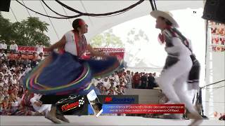 Jarabe Mixteco Guelaguetza 2017 [upl. by Yekcor667]