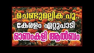 CHENDUMALLIKA POO KANDAL  ചെണ്ടുമല്ലിക പൂ കണ്ടാല്‍  chendumallika album song  നാടൻ പാട്ട് [upl. by Trudie452]