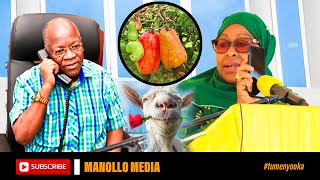 MZIMU WA MAGUFULI WAONEKANA MTWARA SAMIA AWAPA JEURI WAKULIMA WA KOROSHO [upl. by Valerie]