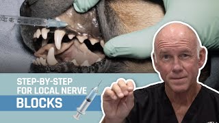 Veterinary Dentistry  Nerve Blocks for Oral Surgery for Dogs and Cats [upl. by Ardnossac287]