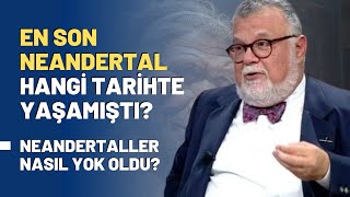 En Son Neandertal Hangi Tarihte Yaşamıştı Neandertaller Nasıl Yok Oldu [upl. by Karas]