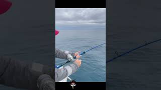 Amberjack on Rod [upl. by Eenalem46]