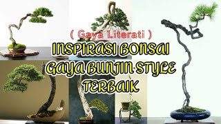 Inspirasi Bonsai Gaya Bunjin Style Terbaik  Gaya Literati [upl. by Takken]