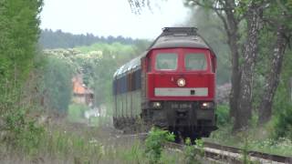 BR 232 3798 Ludmilla POWER Rp1 120 kmh Turbo Esencja wiosny Petershagen  Casekow  HD [upl. by Ylrebme]