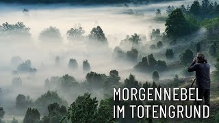 Morgennebel im Totengrund ● Fotografieren in der Heide [upl. by Kennie]