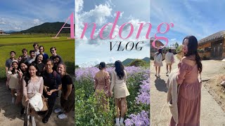 Andong Korea Vlog ⭐️ 2023 Fall Student Exchange [upl. by Bred795]