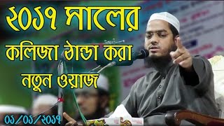 Hafizur Rahman Siddiki Bangla Waz 2017  Bangla New Waz 2017 Kolija Danda Kora New Waz [upl. by Kylstra631]