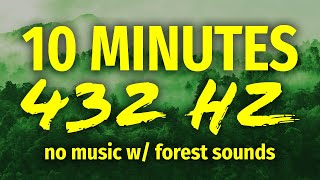 432 Hz Pure Tone Healing Frequencies  No Music w Forest Sounds [upl. by Ellenyl783]