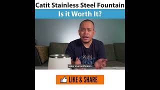 Catit Stainless Steel Water Fountain Review Is it Worth It [upl. by Mercorr]