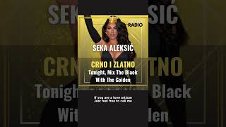 Seka Aleksić  Mix The Black With The Golden  Crno i Zlatno English Pop version balkanmusic [upl. by Halli]