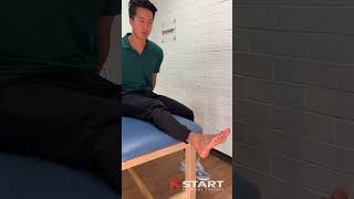 Fibularis longus ankle movement [upl. by Amalee]