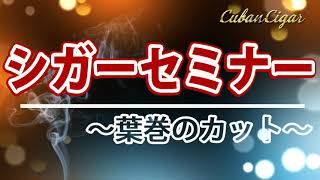 【2021年 最新版】How To 葉巻の吸い方（葉巻のカット編）｜CubanCigarjp [upl. by Vish417]