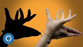 How to make Shadow Animals with your Hands [upl. by Lundberg]