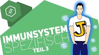 Spezifische Immunabwehr 3  Immunsystem [upl. by Adelaide721]