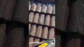 SACRAMENTO ROOF CLEANING SOFTWASH EASY PEEZY [upl. by Yral855]