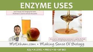 Enzymes  Commercial Uses  Post 16 Biology A Level PreU IB AP Bio [upl. by Dustan367]