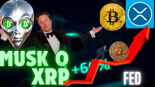 Co powiedział Musk o XRP Decyzja FED a kurs BTC  NOSTR nowa platforma dla krypto  BTC  XRP News [upl. by Rebmik133]