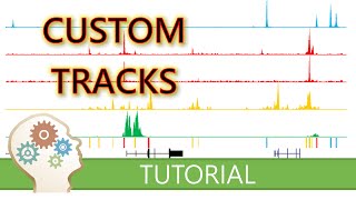 MAKE YOUR GENOMIC DATA LOOK STUNNING WITH THE UCSC GENOME BROWSER  The Secrets Of Custom Tracks [upl. by Lordan]