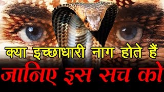 क्या इच्छाधारी नाग होते हैं जानिए इस सच को What is Ichchadhari Nagin [upl. by Anihcak982]