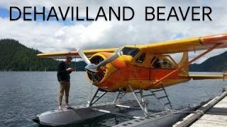 DHC2 DEHAVILLAND BEAVER Seaplane Startup Runup and Takeoff [upl. by New]