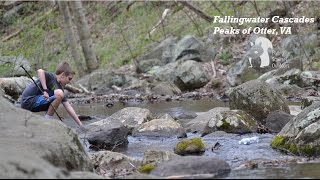 Fallingwater Cascades Peaks of Otter VA [upl. by Marsh]