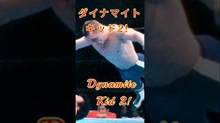 【格闘編34】キッド！！ダイビングヘッドバット2！🐇💯 wrestling 最高 prowrestling プロレス short shorts sport [upl. by Dorrahs]