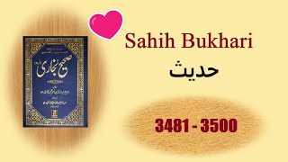 Sahih Bukhari Hadees in Urdu 34813500 Islamic Books Hadees💗💛 [upl. by Doble895]