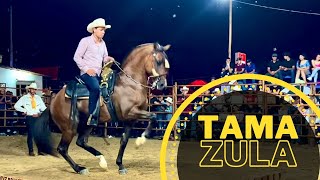 🏆CONCURSO DE CABALLOS BAILADORES EN TAMAZULA DURANGO [upl. by Lisette]