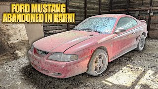 First Wash in 8 Years ABANDONED Barn Find Ford Mustang  Car Detailing Restoration [upl. by Ailhad]