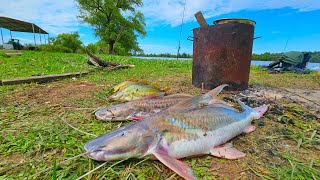 quotNUNCA VI UNA COSA ASIquot fue una locura estovolví a la islapesca y cocinaNICO REYNOSO [upl. by Omixam]