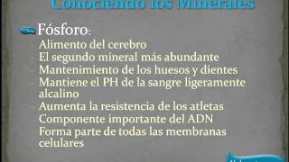 Los Minerales [upl. by Eittam]