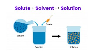 What is the difference between a solution solute and solvent  EduBytes [upl. by Lemahs663]