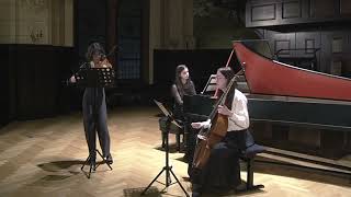 Georg Philipp Telemann  sonata triowa h moll [upl. by Nolham]