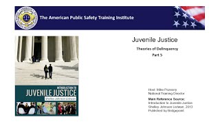 TAPSTI Webinar 010 Part 05  Juvenile Justice  Criminal Theory [upl. by Ahsyt]