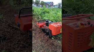 Rc flail mower 15hp in action [upl. by Jerusalem486]