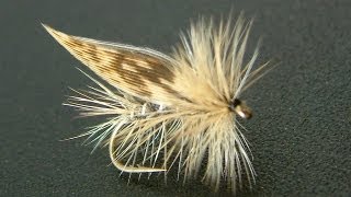 Tying the Grey Flag Sedge DryFly with Davie McPhail [upl. by Standice466]